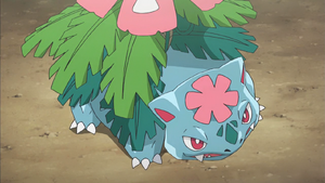 Mega Venusaur anime.png