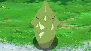 Goh Metapod.png