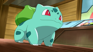 Shauna Bulbasaur.png