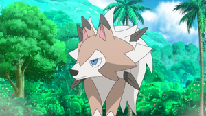 Olivia Lycanroc anime.webp