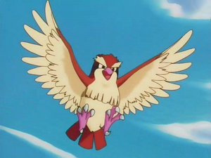 Casey Pidgey.png