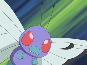 Drew Butterfree.webp