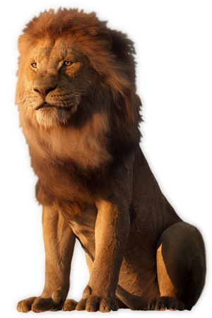 Mufasa 2019 whole appearance.webp